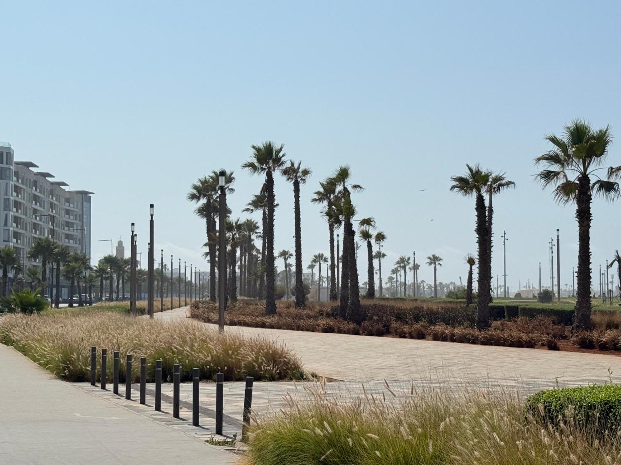 Apartamento Cosy Ensoleille 2ch Proche De Mosquee Hassan Ii Et Corniche Casa Blanca